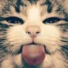 barfemoji